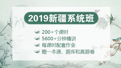 [送图书礼包]2019新疆笔试系统班